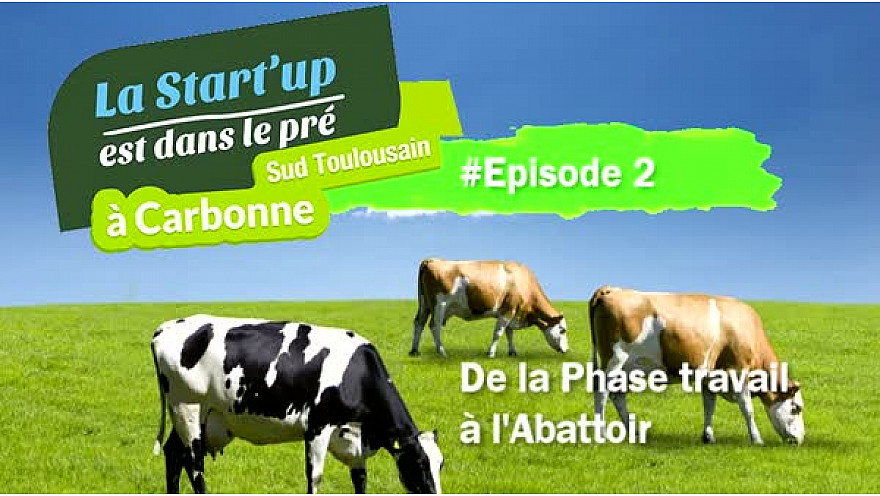 Episode 2 de la #StartUpDansLePre : la 'Phase Travail' à 'l'Abattoir' #TvLocale_fr
